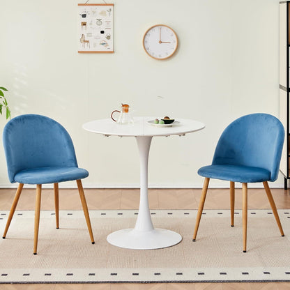Samt Esszimmerstühle Set (Blau, 6er-Set) – Modern & Komfortabel