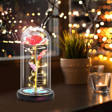 Ewige Rose im Glas mit LED Licht Geschenk für Frauen