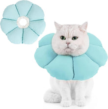 Halskrause für Katzen Leckschutz Kragen Blau Medium
