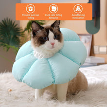 Halskrause Katze Halsband Weich Leckschutz Kragen Medium