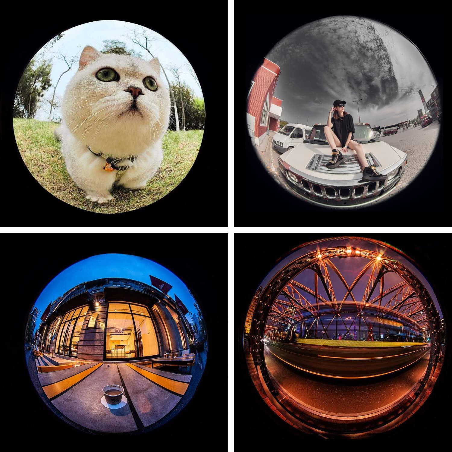 BIGBIGRIVER 210° Fisheye-Objektiv für iPhone Samsung Pixel BlackBerry