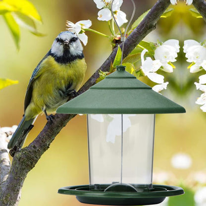 Zeqeey Vogelfutterautomat für Wildvögel 620ml mit Samenhalter