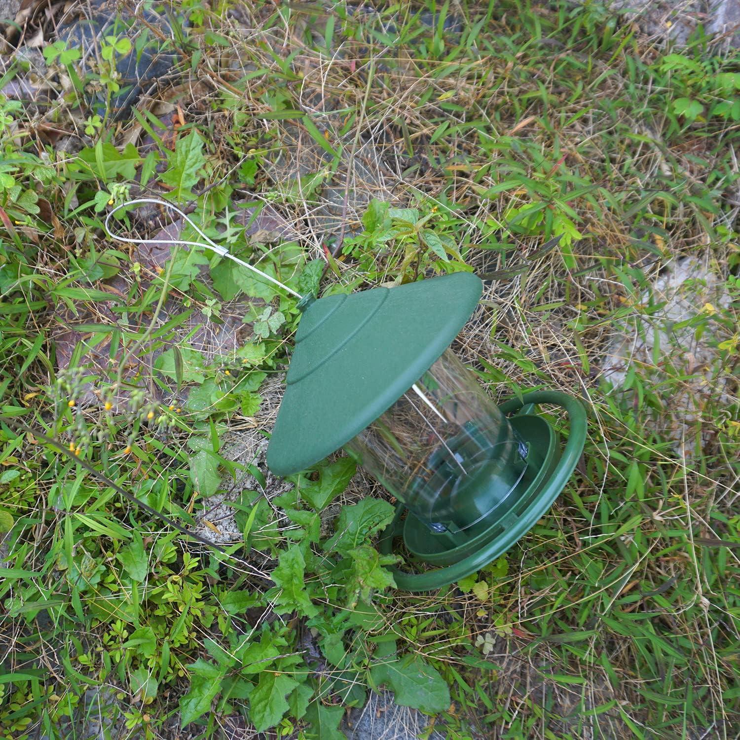 Hängender Wildvogel Feeder Samenhalter Tablett Mischungen Erdnüsse