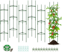 Tomate Rankhilfe 6er Set 120 cm Höhe Grün DIY Einstellbar