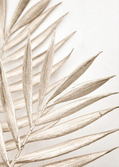 3er Premium Poster Set Boho Pampasgras Wandbilder 40x50cm