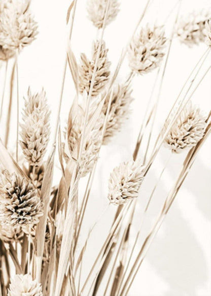 Boho Pampasgras Poster Set Wandbilder Natur Leinwand Wohnzimmer Schlafzimmer