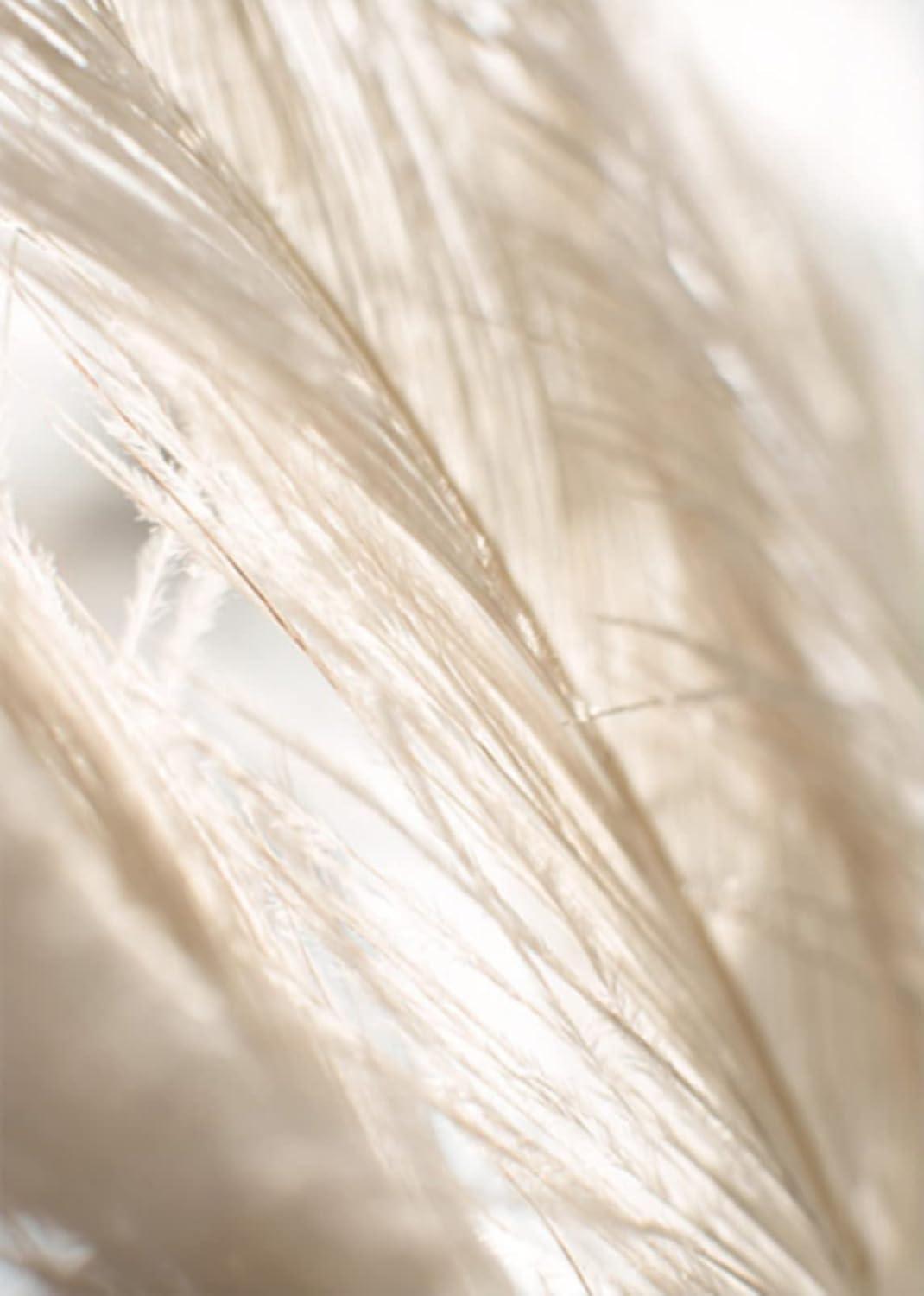 Trayosin 3er Boho Pampasgras Poster Set Natur Leinwand Wohnzimmer Schlafzimmer Deko 40x50cm