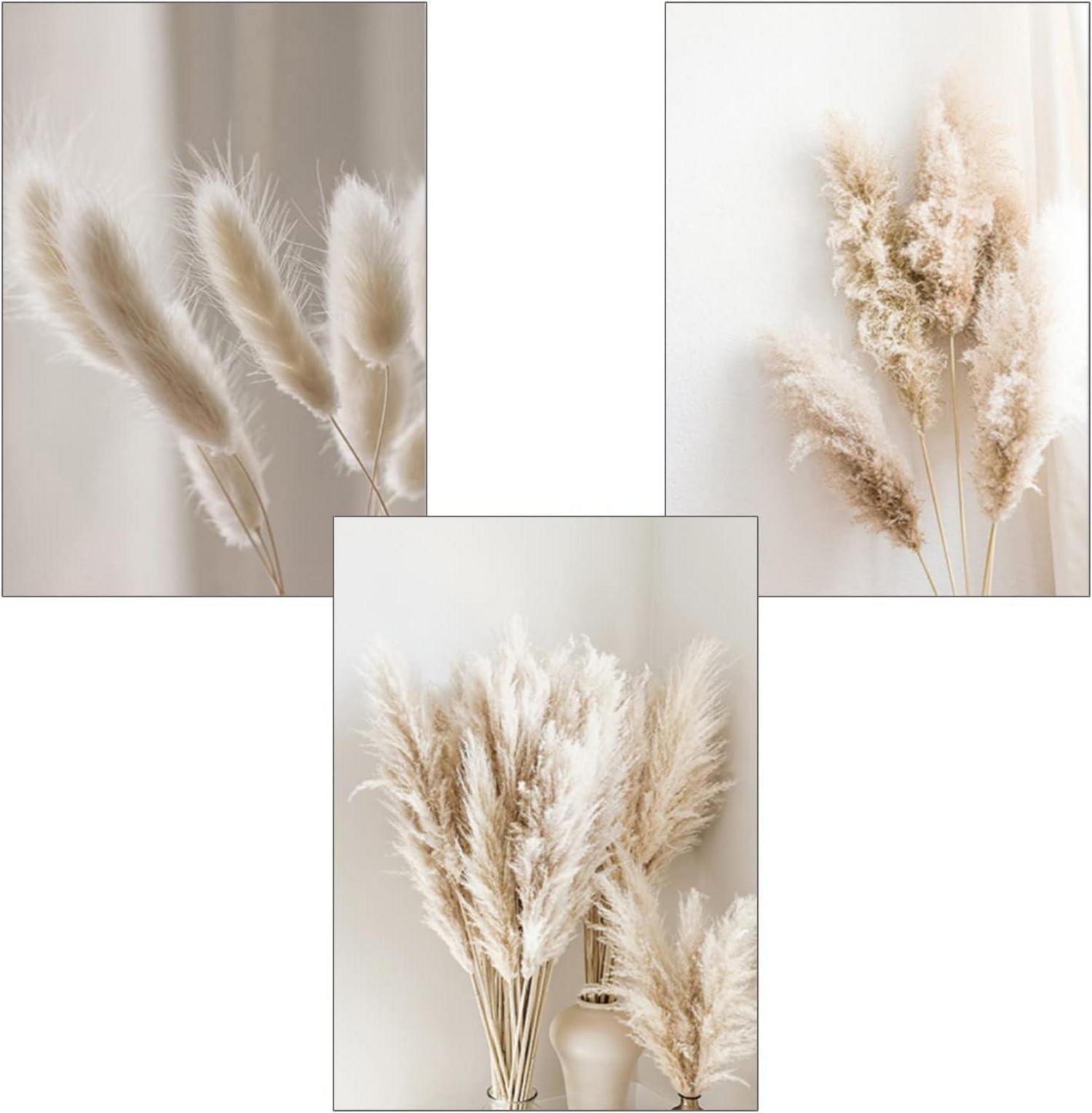 3er Premium Poster Set Natur Leinwandbilder Boho Pampasgras Bilder