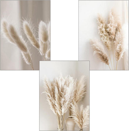 3er Premium Poster Set Natur Leinwandbilder Boho Pampasgras Bilder
