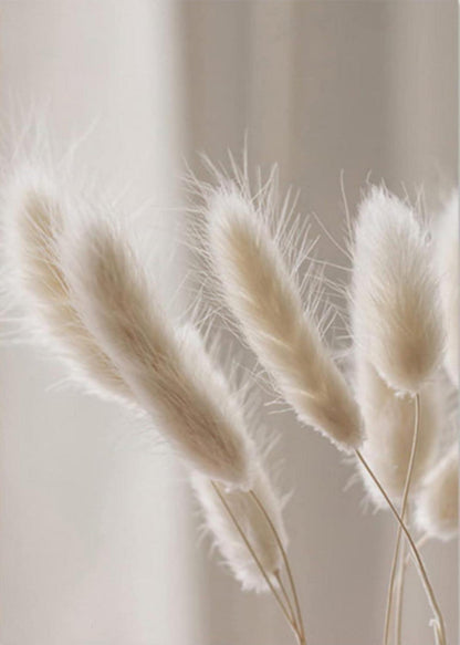 Boho Pampasgras Natur Leinwandbilder Set 50x70cm Beige