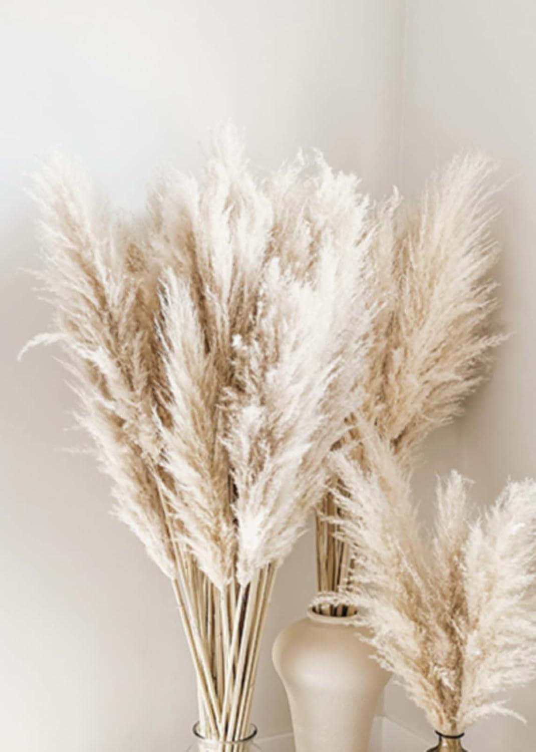 Trayosin Boho Pampasgras Poster Set Natur Wandbilder, Wohnzimmer Schlafzimmer Deko