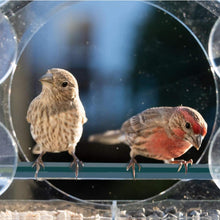 AMSAMOTION Vogelhaus Fenster Futterhaus transparent Acryl