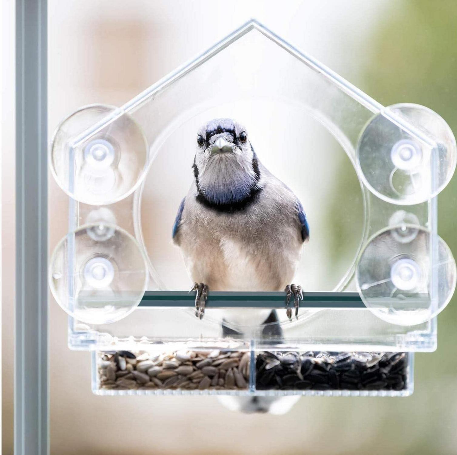 AMSAMOTION Vogelhaus Fenster Futterhaus Wildvögel Futterspender Acryl
