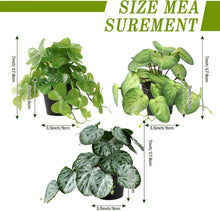 Grüne Kunstpflanzen Set Hängend Topf Zimmer Deko 17cm