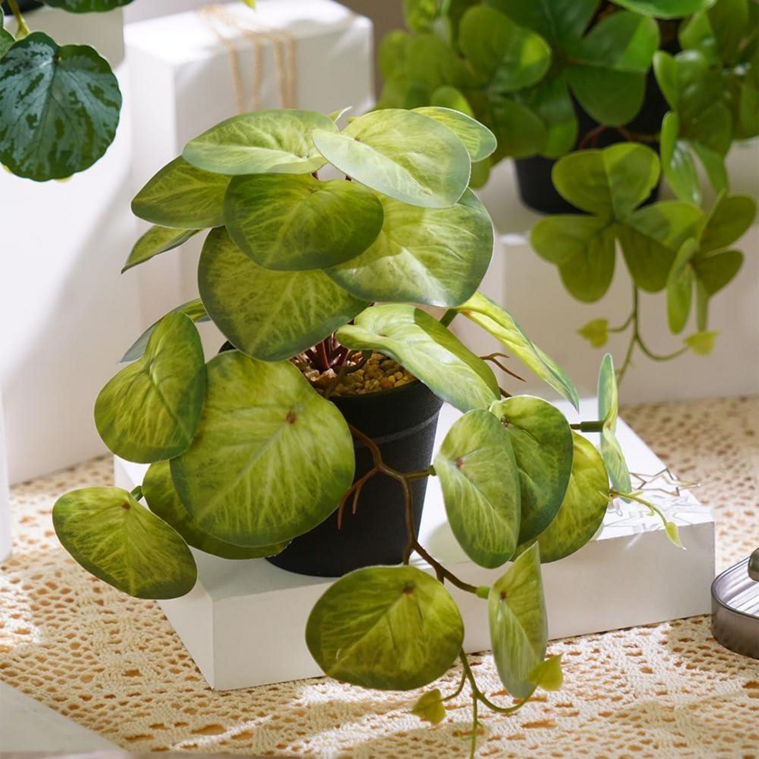 ALAGIRLS Grün Kunstpflanze im Topf Zimmer Büro Deko Set A