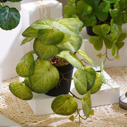 ALAGIRLS Grün Kunstpflanze im Topf Zimmer Büro Deko Set A