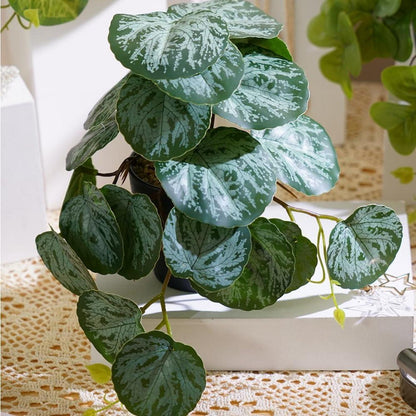 Grüne Kunstpflanze im Topf Set mit Begonien Klee Pilea 301-A