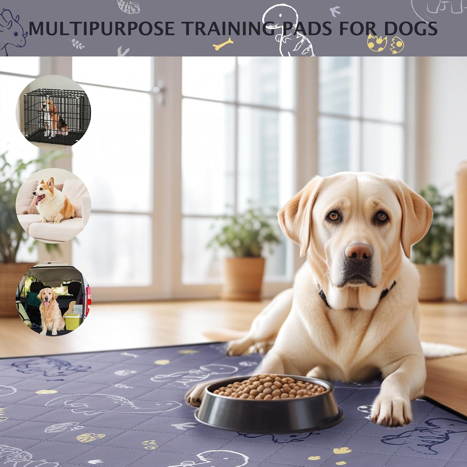 2er Pack Welpenunterlagen Waschbar für Hunde, Grau 91x58cm