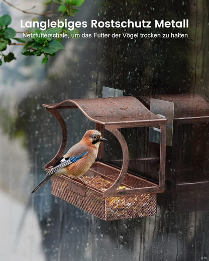 Vogelfutterhaus Metall Fenster Saugnäpfen Rostschutz Vögel