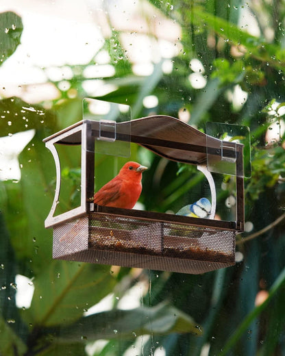 Vogelfutterhaus Metall Fenster Saugnäpfen Rostschutz Vögel