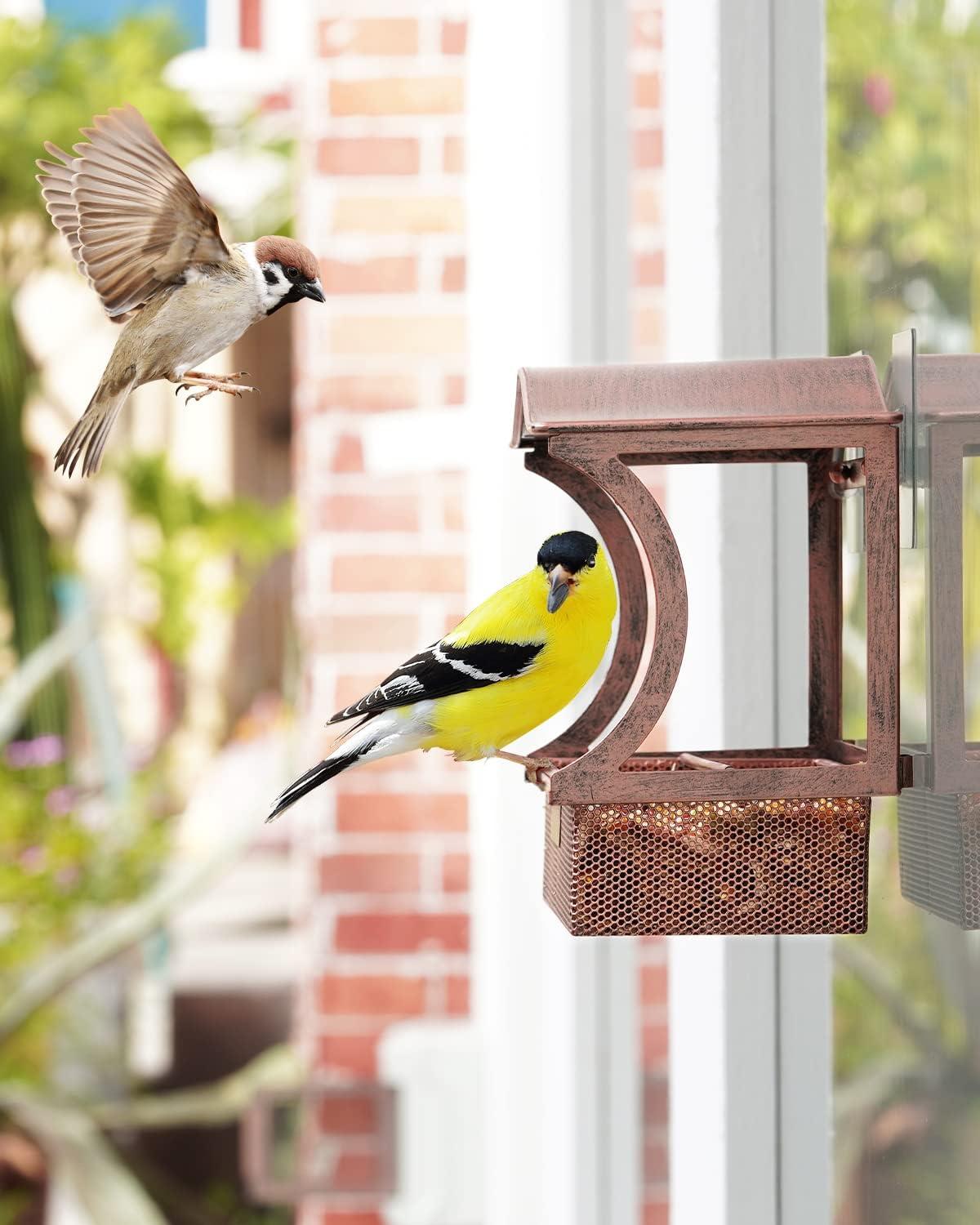 HouseSapp Metall Vogelfutterhaus Fensterscheibe für Vögel