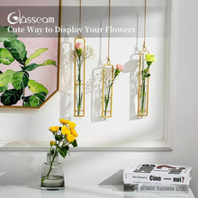 Glasseam Reagenzglas Vasen Set 6 Stück Gold Vintage Glasvase