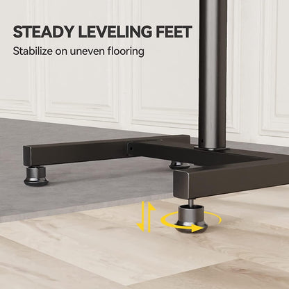 TV-Ständer für 13-50 zoll Flat Curved TVs bis 44