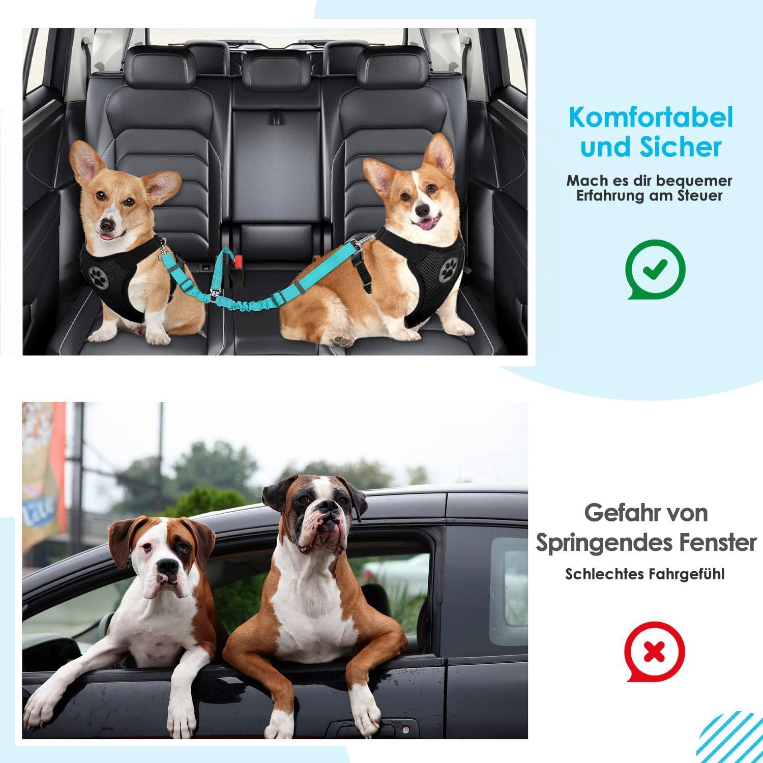 Anschnallgurt Hund Auto 2 in 1 elastisch reflektierend sicherheitsgurt