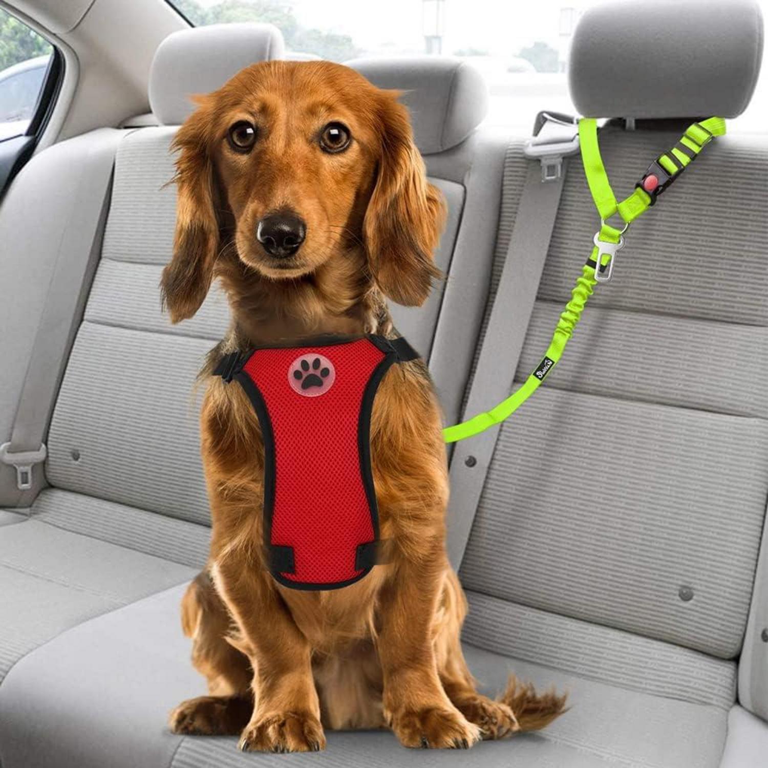 SlowTon Hundegurt Auto 2-in-1 Sicherheitsgurt Kopfstützen-Rückhalte