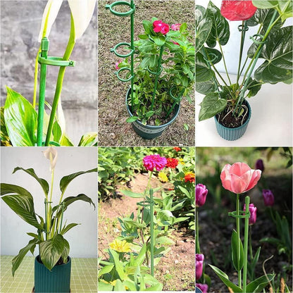 Orchideen Stäbe Blumenstütze 45er Set Zimmerpflanzen Kunststoff