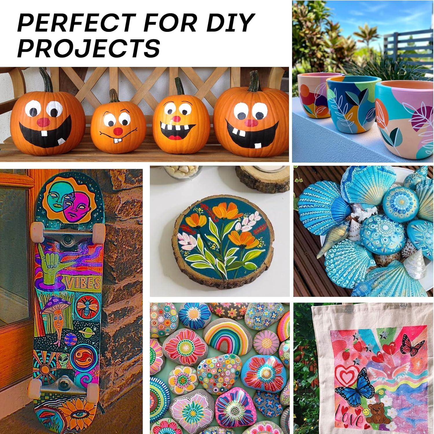 Acrylstifte 12 Farben Wasserfest Dual Tip Acrylic Paints für Steine Holz