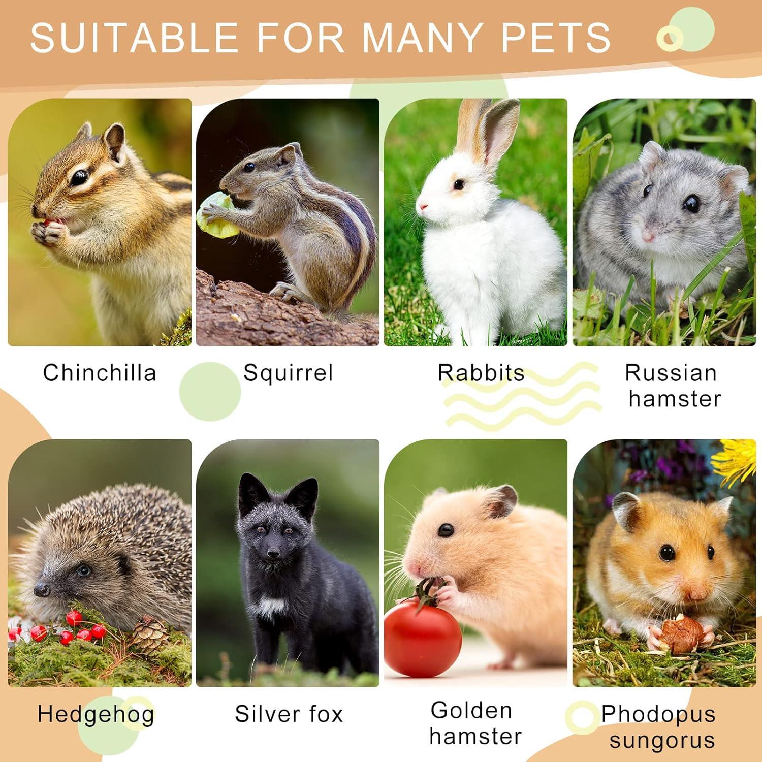 Holz Hamster Spielzeug Set, Hamsterhaus, Kauspielzeug