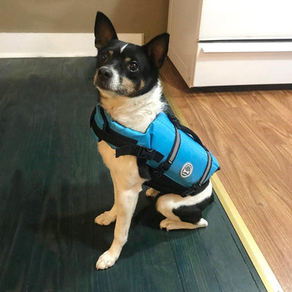 VIVAGLORY Hund Rettungsweste Schwimmweste Blau Auftrieb XXS