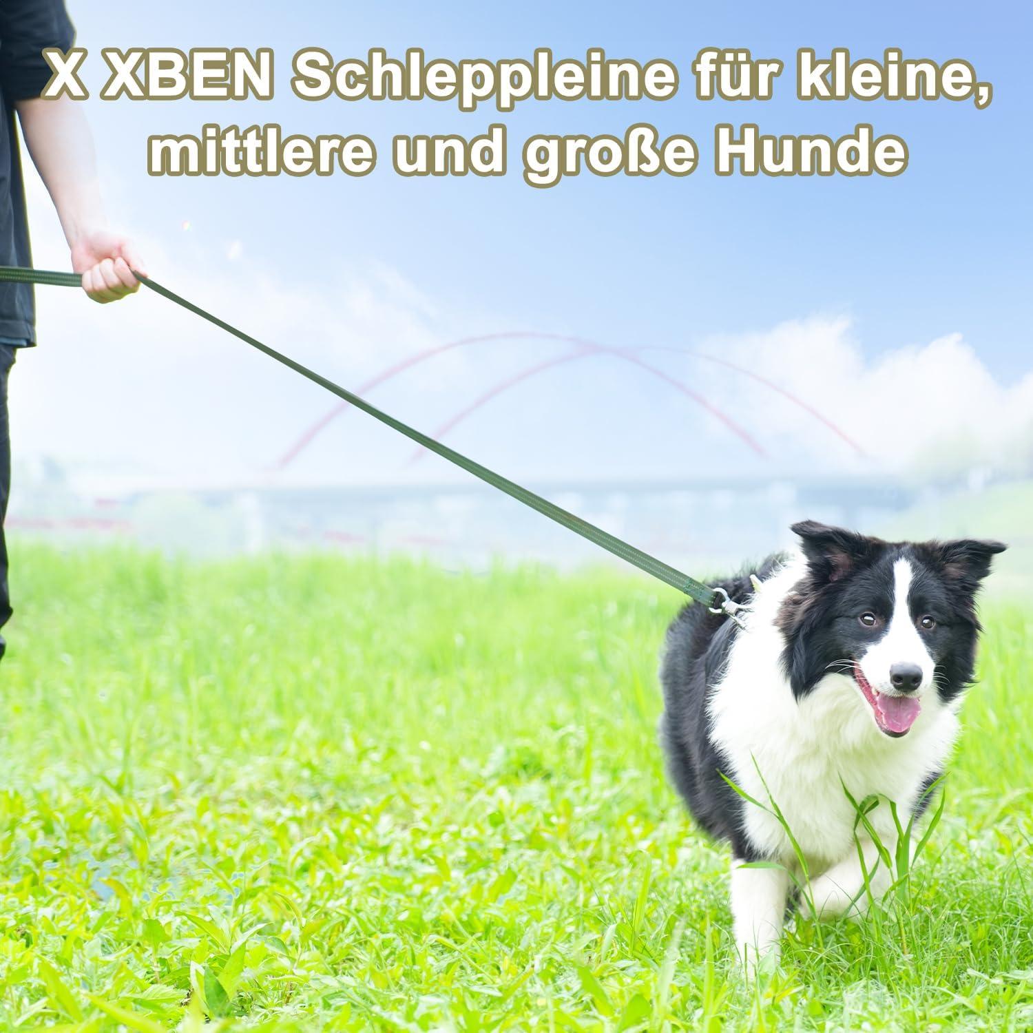 Schleppleine 10M Robust Reflektierend für Mittlere Große Hunde Grün