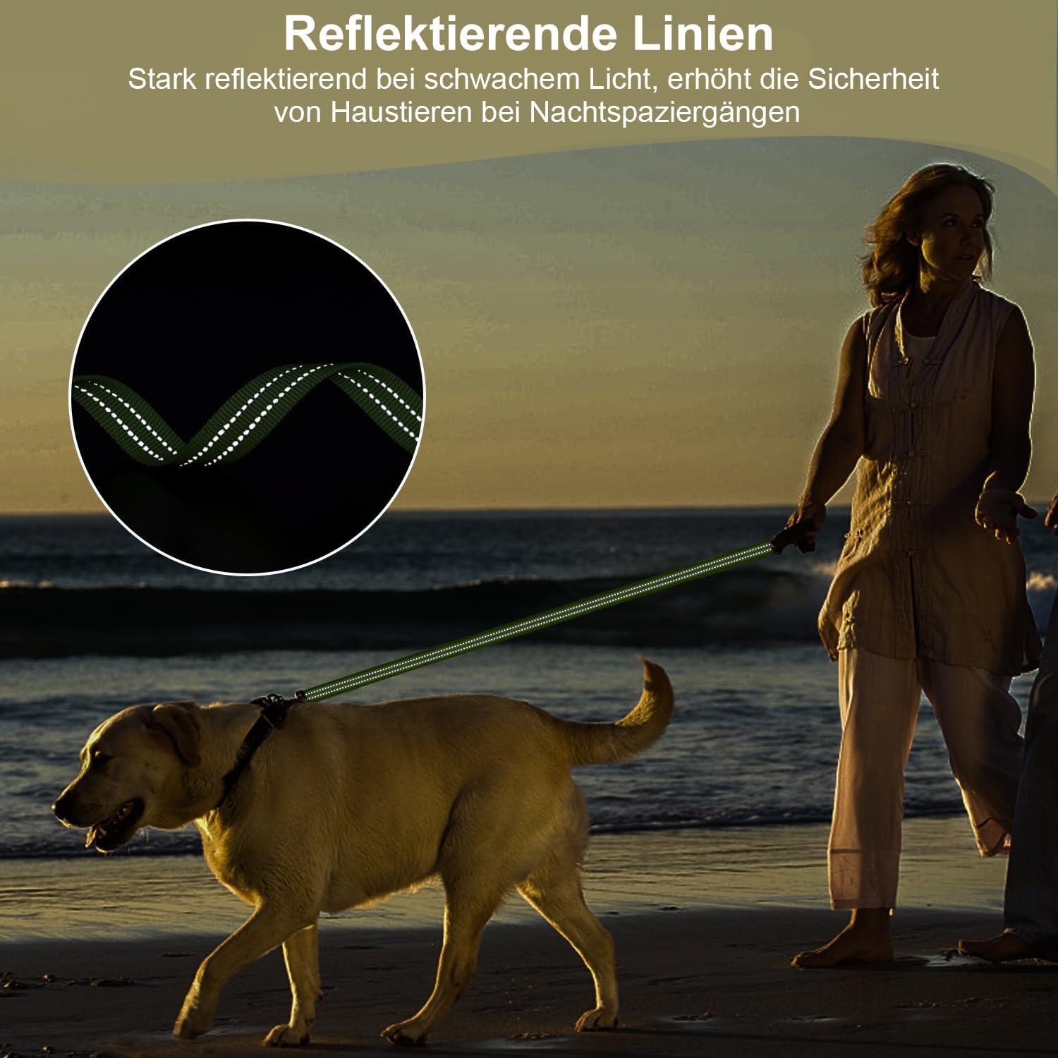 Schleppleine für Hunde 10M Robust Reflektierend Trainingsleine Hundeerziehung
