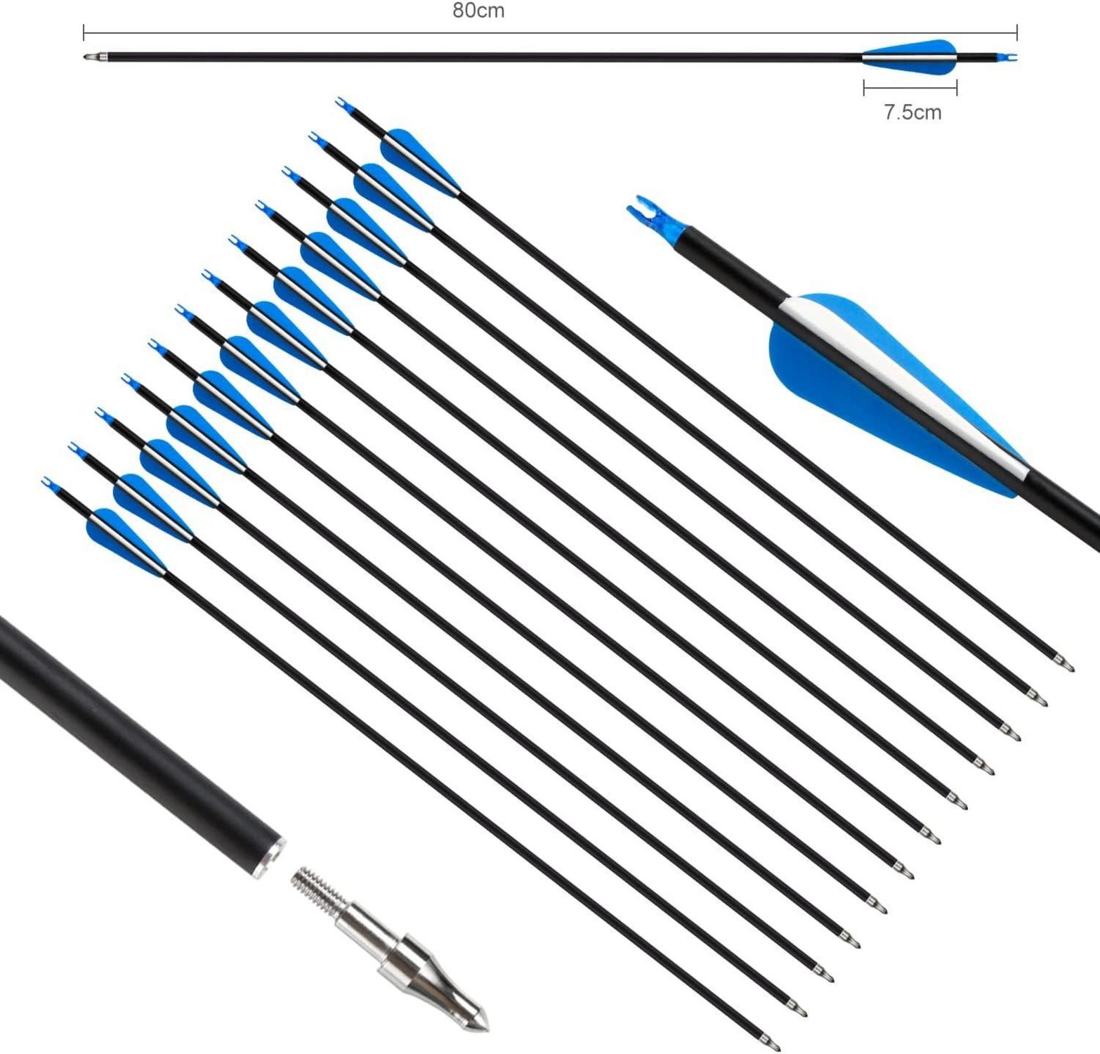 Recurve Bogen Set 30Lbs mit 12 Kohlenstoffpfeilen - Bogenschießen Übungszubehör