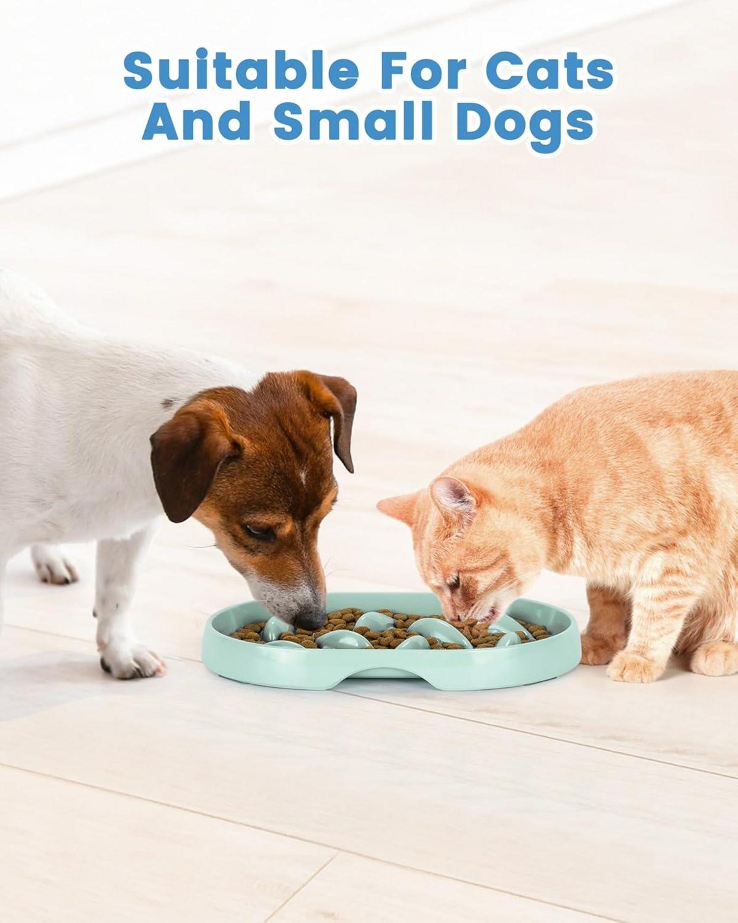 Anti Schling Napf für Katzen & Kleine Hunde, Langsam Fütterung Puzzle-Schale