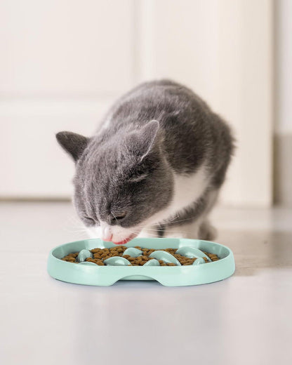 Antischling Napf für Katzen und kleine Hunde, Langsam Fütterung, Rutschfeste Unterseite, Hellgrün