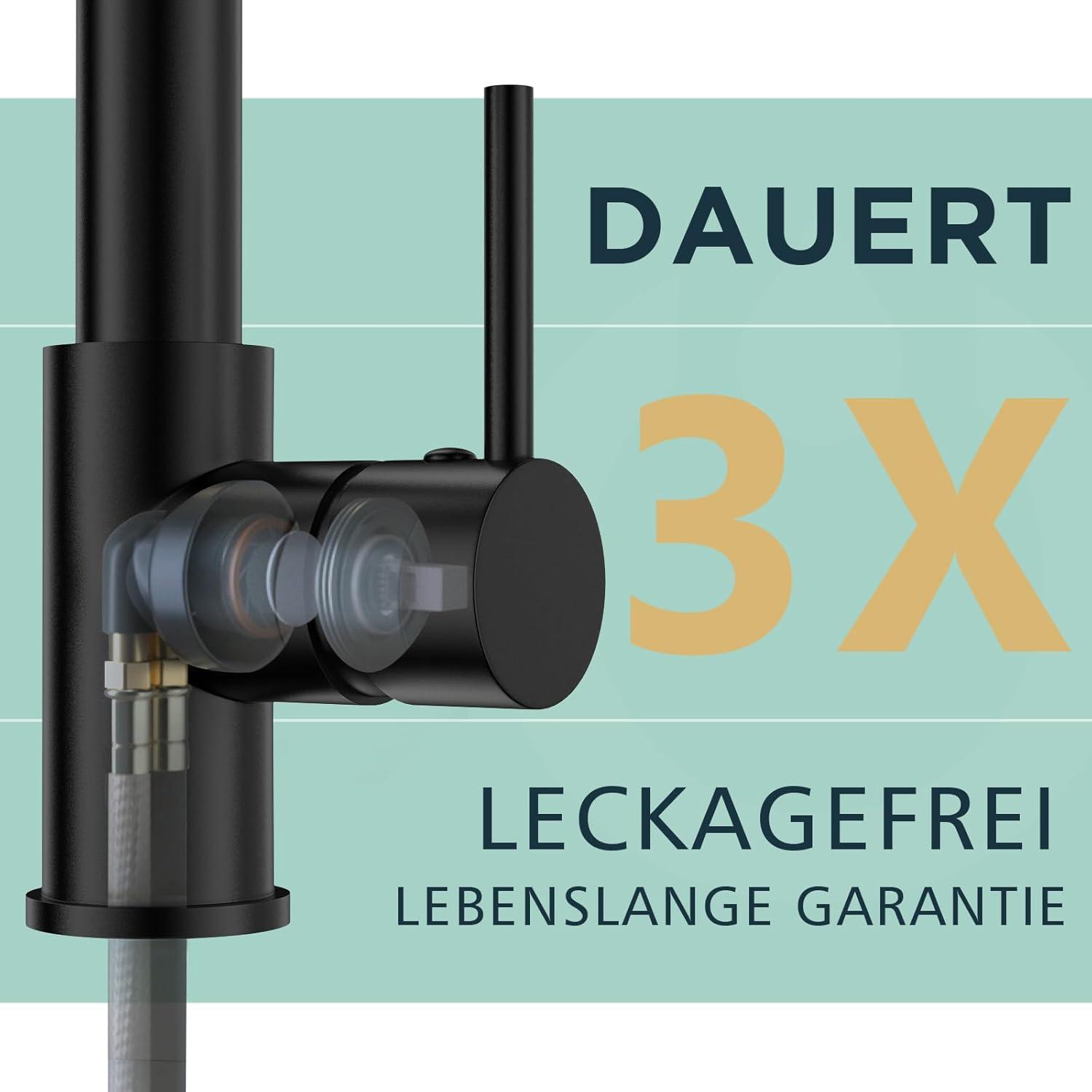 FORIOUS Schwarz Edelstahl Küchenarmatur 360° Schwenkbar mit Doppelspray