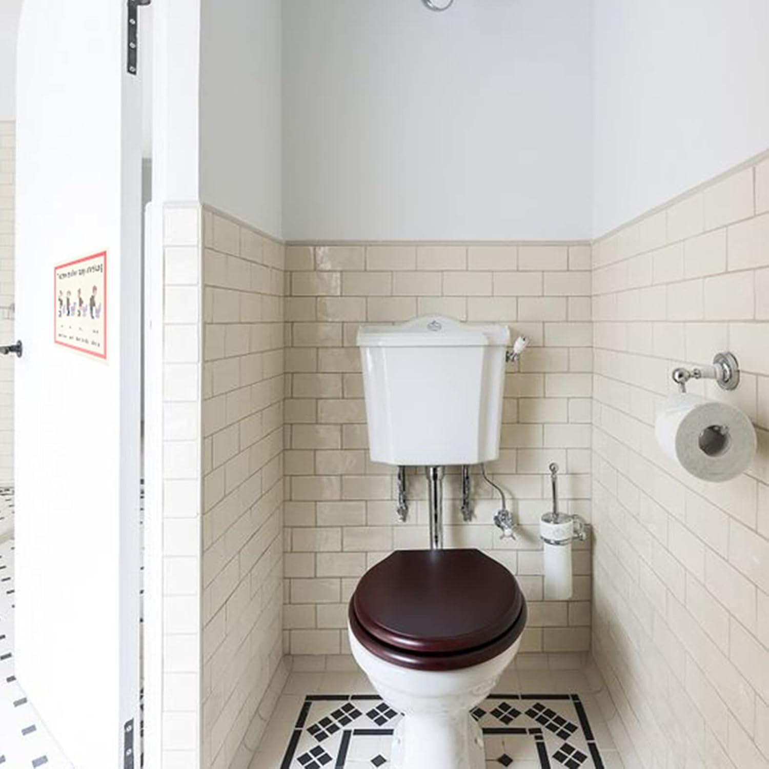 Lustiges Blechschild 20x30cm aus Metall zur Toiletten Dekoration