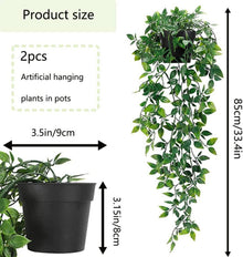 Künstliche Hängepflanzen mit Töpfen, 2er Set - Kunstpflanze