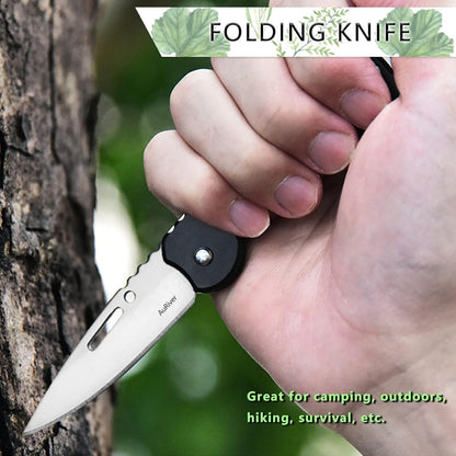 Günstiges Taschenmesser Klein Klappmesser 2 Stück