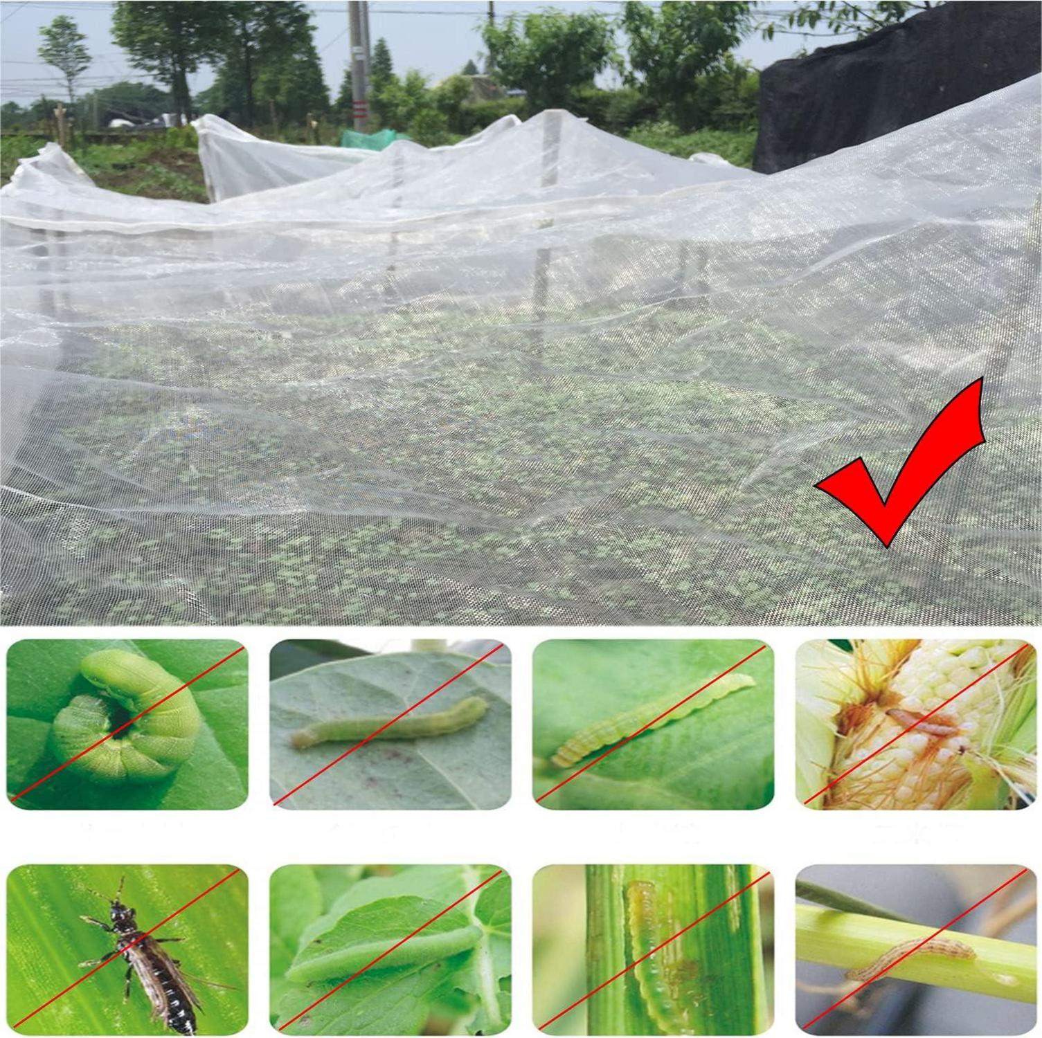Insektenschutznetz Gemüse Feinmaschig 3m x 10m natürlicher