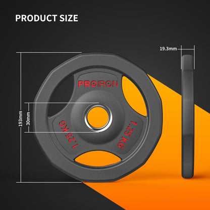 Hantelscheiben Set 30mm gusseisen 1,25kg 2,5kg 5kg 10kg
