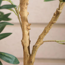 Künstlicher Olivenbaum 150cm mit Naturholzstamm- lebensechte