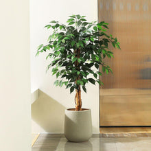 Kunstpflanze Ficusbaum 120 cm Naturholz Stamm 4ft Büro