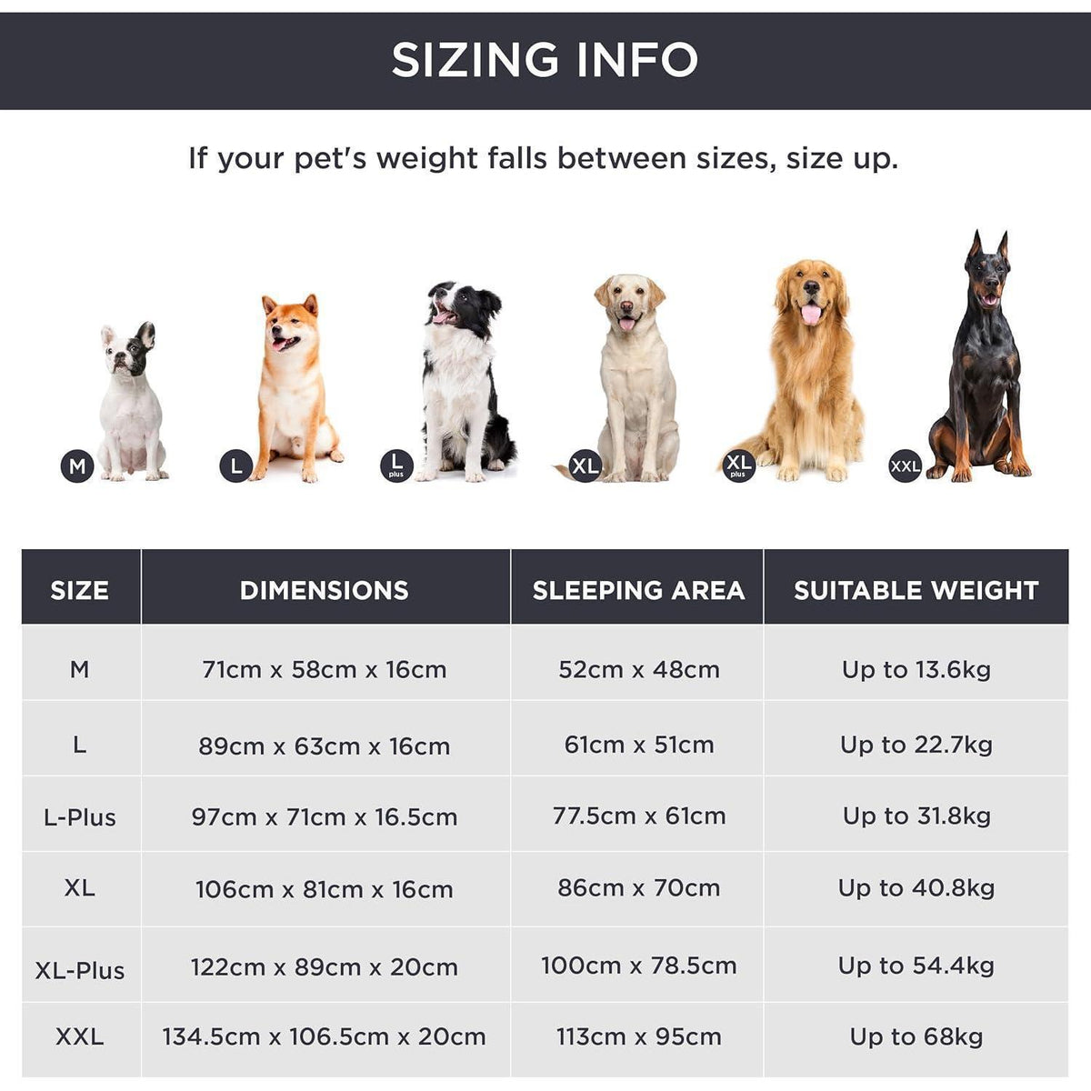 Orthopädisches Hundebett XXL, 134x106 cm, Schwarz