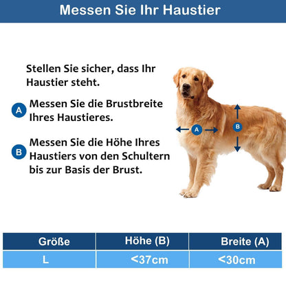 Große Hundeklappe 45kg – Wetterfest & Einfach Installieren