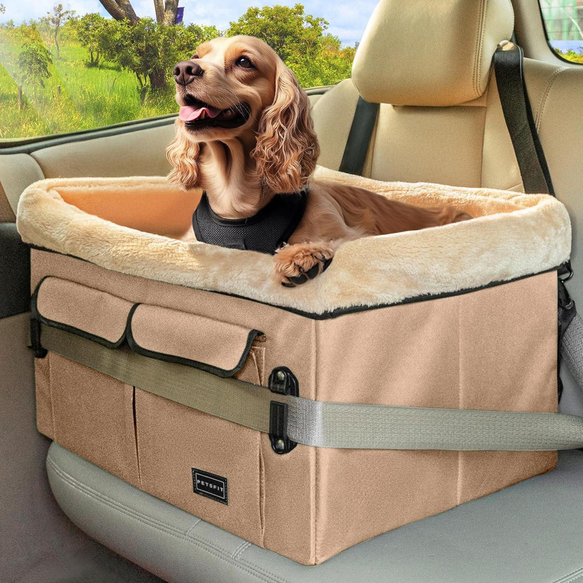 Hunde Autositz für Rückbank – Bequem & Sicher (M)