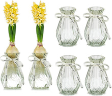 Klarglasvasen mit Seidenseil, Moderne Hyazinthenvasen Set 6